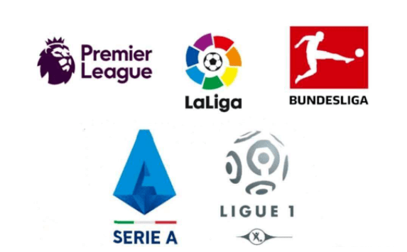 运动管理中, 相关负责人, 会整体筹备