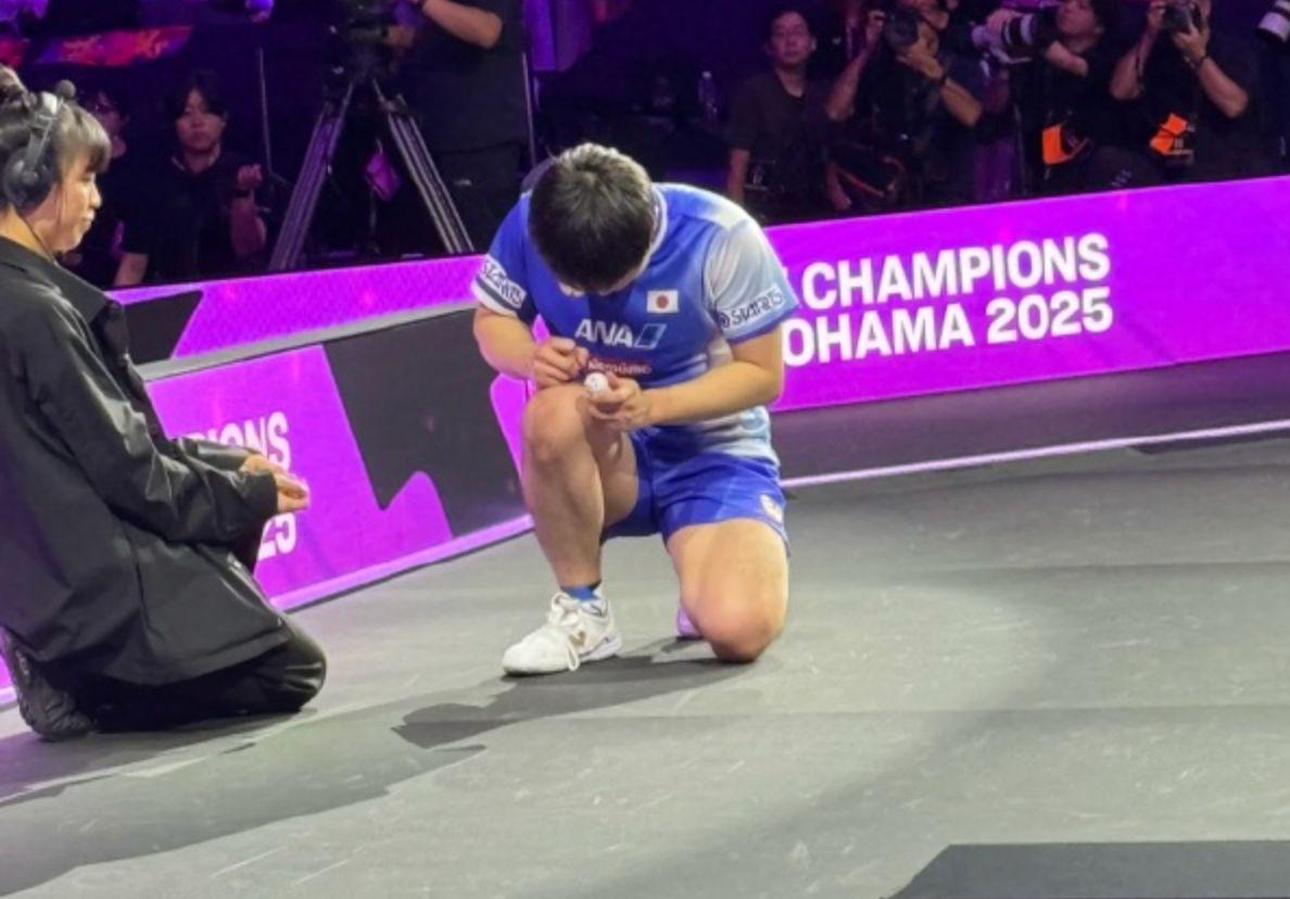 uskp, 王楚钦应该, 也不知道