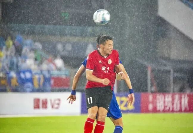 msn, 节日快乐