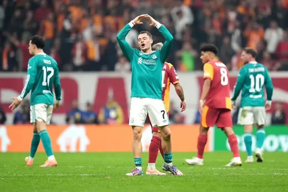 份惊人报道 份惊人报道